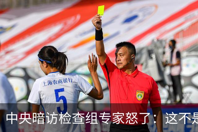 中央暗访检查组专家怒了：这不是开玩笑吗？